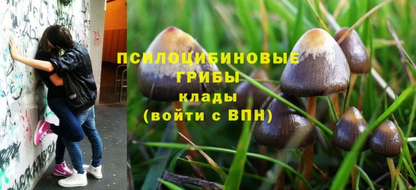 спиды Армянск