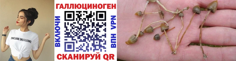 Галлюциногенные грибы мухоморы Петухово